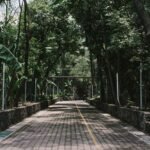 Vecinos mantienen bloqueo en parque Lira por ocho horas ante enuncia de Privatización del Espacio Público