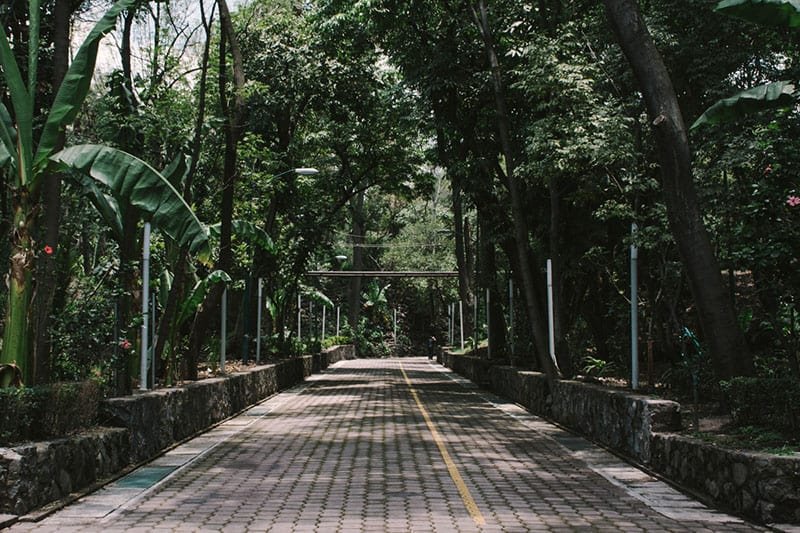 Vecinos mantienen bloqueo en parque Lira por ocho horas ante enuncia de Privatización del Espacio Público