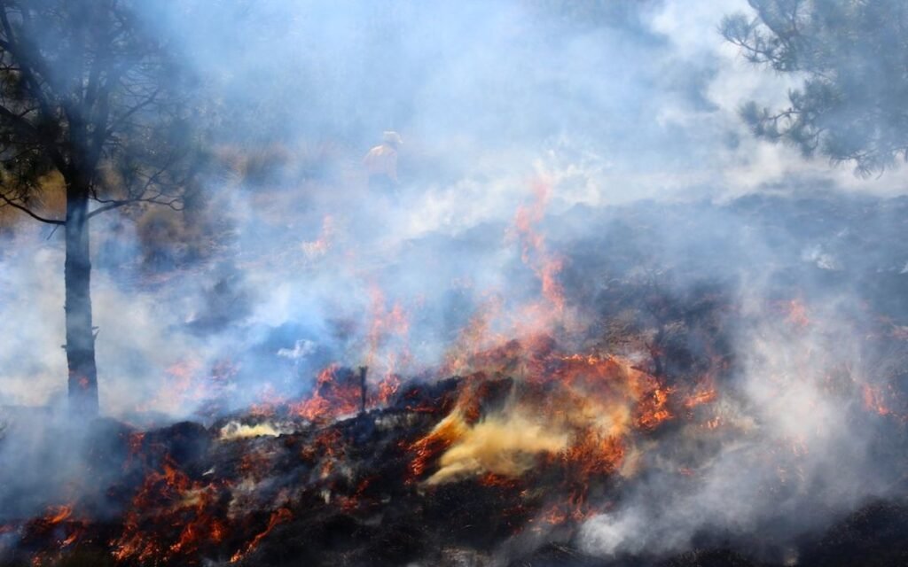 Fuerte olor a quemado alarma a habitantes de la Ciudad de México; incendio en pastizales sería la causa