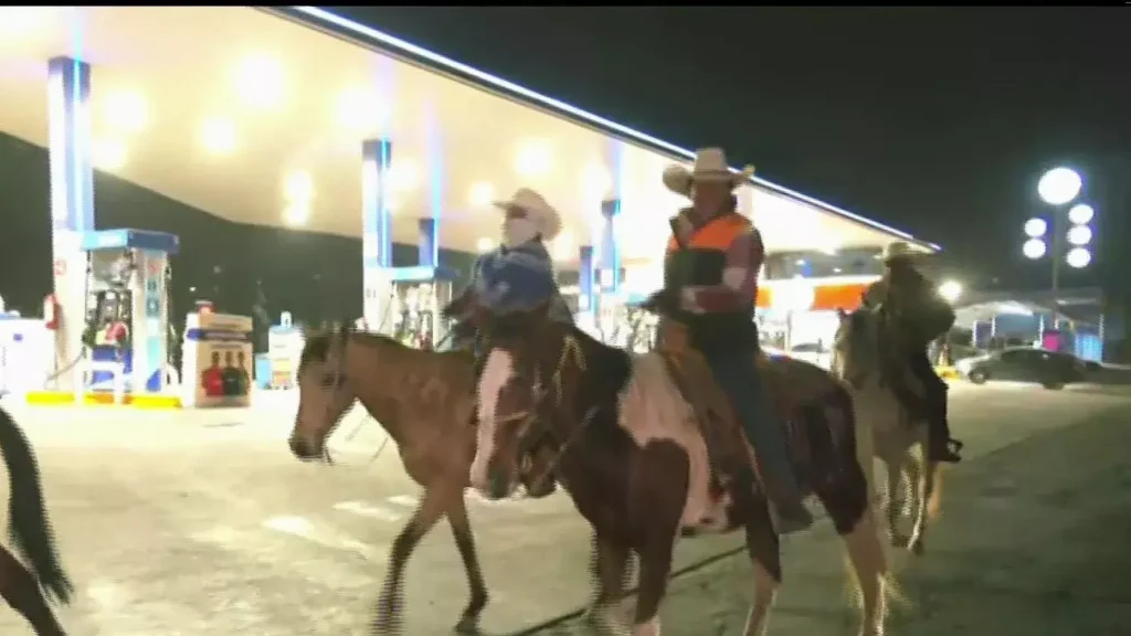 Peregrinos avanzan a caballo por vía morelos rumbo a la Basílica de Guadalupe