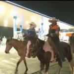 Peregrinos avanzan a caballo por vía morelos rumbo a la Basílica de Guadalupe