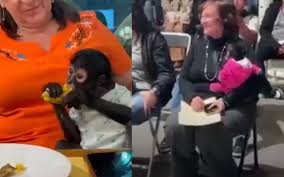 Regidora de Ocotlán renuncia a su cargo en medio de controversia en Jalisco