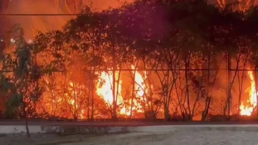 Incendio de pastizal cerca del Circuito Exterior Mexiquense moviliza a cuerpos de emergencia