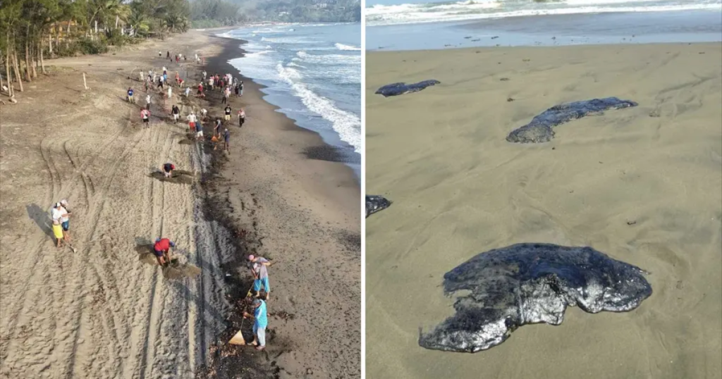 Derrame de petróleo en el Golfo de México: riesgos para la salud preocupan a comunidades