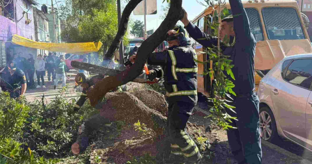 Accidente de microbús en Martín Carrera deja personas lesionadas y moviliza servicios de emergencia