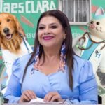 Clara Brugada impulsa mega jornada gratuita de esterilización para perros y gatos para la Capital más animalista