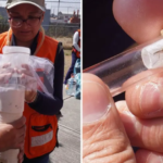 Refuerzan vigilancia sanitaria en AICM ante monitoreo de dengue, zika y chikungunya