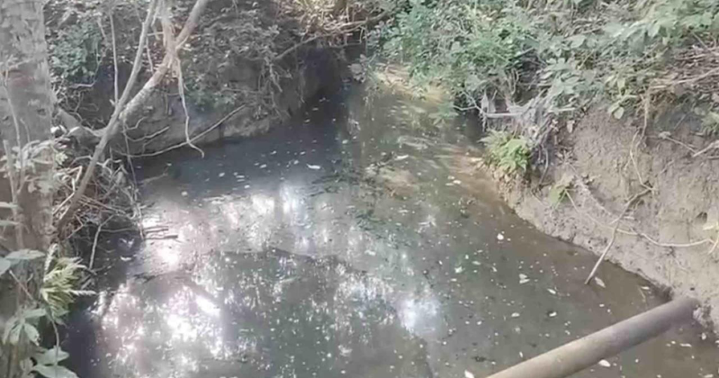 Habitantes de Veracruz reportan afectaciones a su salud tras fuga de hidrocarburo