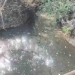 Habitantes de Veracruz reportan afectaciones a su salud tras fuga de hidrocarburo
