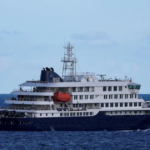 Viajar también implica cuidarse: enfermedades en cruceros preocupan a turistas