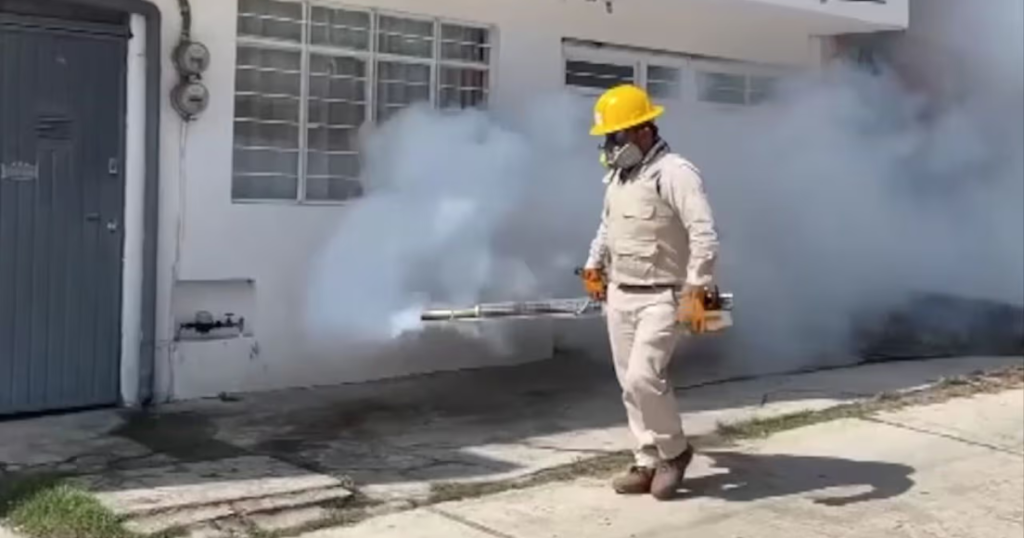 Veracruz, entre los estados con más casos de dengue; autoridades llaman a reforzar la prevención