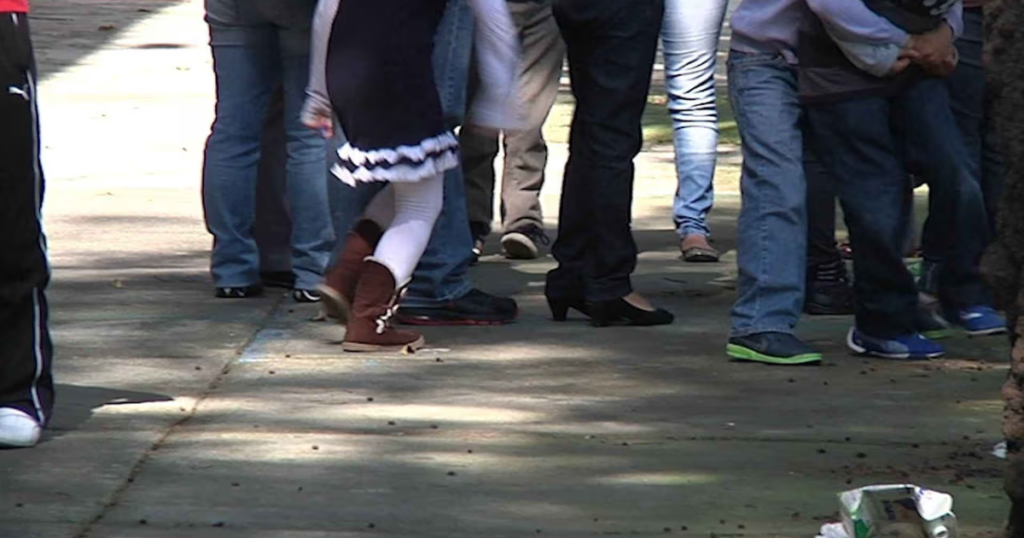 IMSS alerta por intoxicaciones infantiles; cinco niños graves al día ingieren sustancias de limpieza