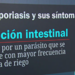 ¿Qué es la ciclosporiasis? La enfermedad intestinal que puede causar diarrea intensa y así puedes prevenirla