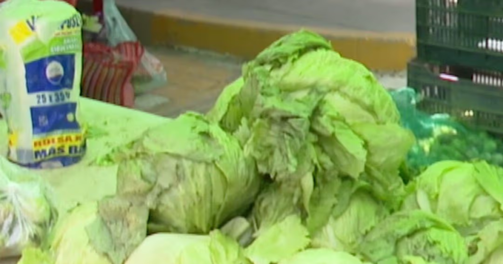 Guanajuato descarta alerta sanitaria por consumo de lechuga y llama a mantener medidas preventivas