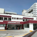 Alergias: conocer los síntomas puede hacer la diferencia en la calidad de vida