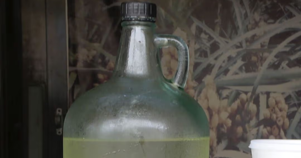 Agua de huapilla: la bebida tradicional que sigue conquistando generaciones en Tampico