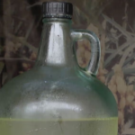 Agua de huapilla: la bebida tradicional que sigue conquistando generaciones en Tampico