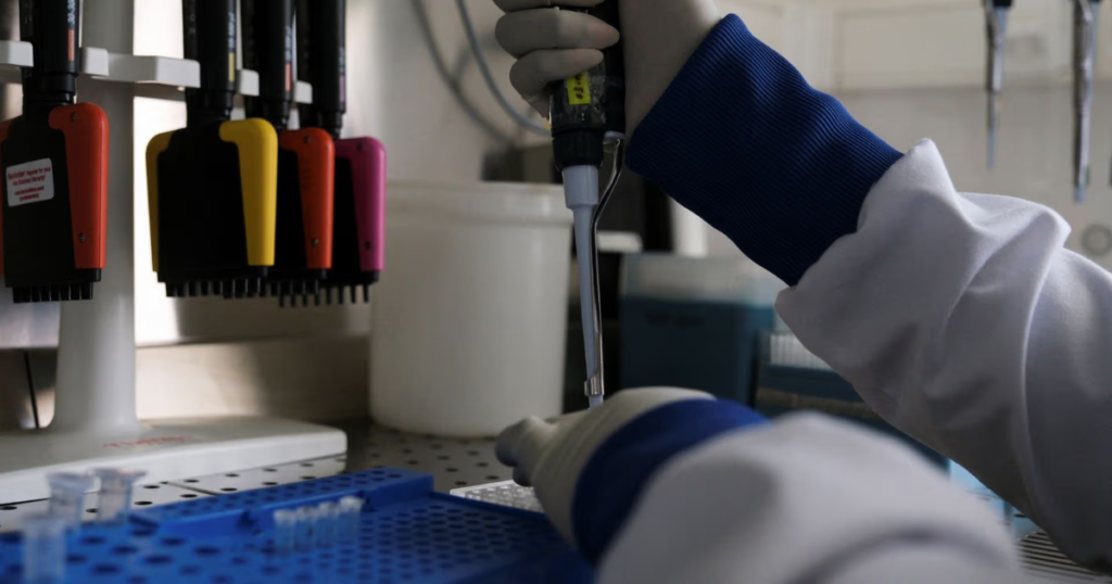 Alerta por hantavirus en Venezuela tras confirmar tres muertes relacionadas con el virus