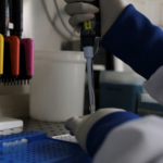 Alerta por hantavirus en Venezuela tras confirmar tres muertes relacionadas con el virus