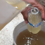 Emiten recomendaciones por agua sucia y con mal olor en la Zona Metropolitana de Guadalajara
