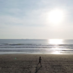 Cofepris identifica playas de Veracruz no aptas para uso recreativo durante estas vacaciones