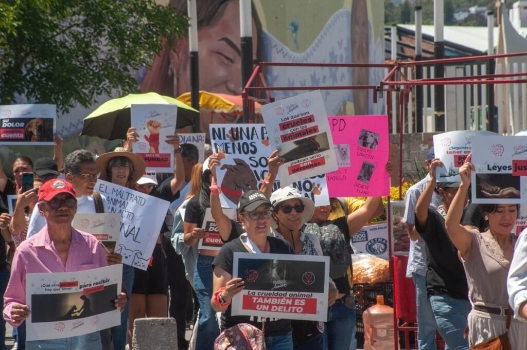 “Ni una patita menos”: marchan en Querétaro para exigir derechos y protección para los animales