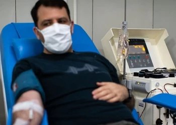 ¿Un tratamiento contra el colesterol también limpia la sangre? Esto descubrieron científicos