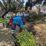 Vecinos de Miguel Hidalgo recibirán apoyo por cuidar parques y áreas verdes de la alcaldía