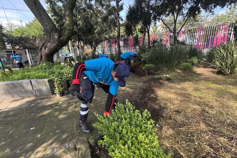 Vecinos de Miguel Hidalgo recibirán apoyo por cuidar parques y áreas verdes de la alcaldía