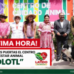 Clara Brugada abre las puertas de Xolotl: El nuevo Centro Integral de Bienestar y Convivencia Animal en la Ciudad de México