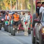 Una despedida con gratitud: caballos y burros dejan los carromatos en Torreón