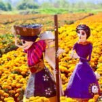 Catrinas, cempasúchil y leyendas: el Centro Histórico prepara una gran fiesta
